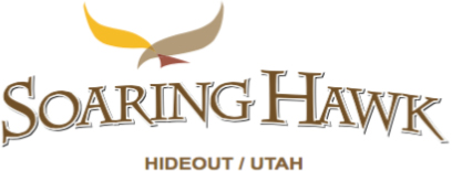 Soaring Hawk - The 4C Group